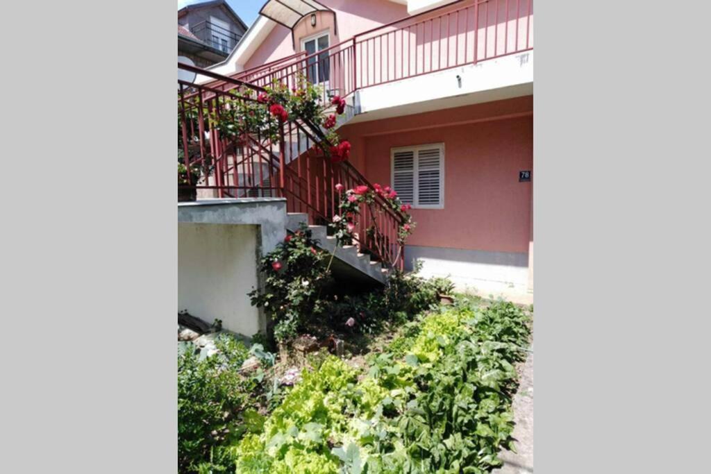 Apartman Danica Herceg Novi Eksteriør billede